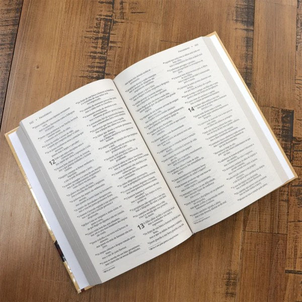 聖書のライオンの表紙 |新改訳聖書標準フォント |ハードカバー