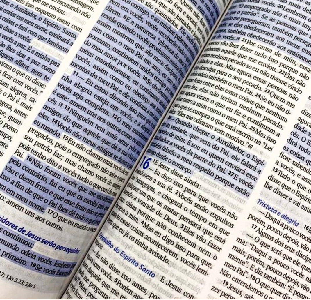 Biblia Sagrada 3 palavrinhas