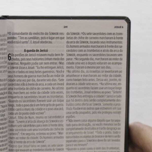 Bíblia Sagrada Lion Head | NVT | Letra Grande | Capa Dura