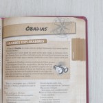 Bíblia das Descobertas para Adolescentes | Letra Normal | NTLH | Capa Luxo Rosa
