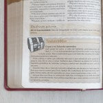 Bíblia das Descobertas para Adolescentes | Letra Normal | NTLH | Capa Luxo Rosa