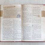 Bíblia das Descobertas para Adolescentes | Letra Normal | NTLH | Capa Luxo Rosa