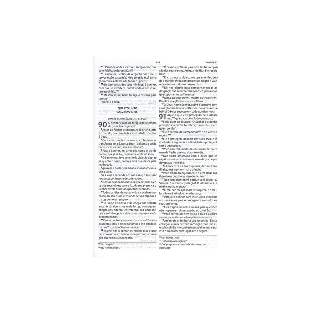 Bíblia De Estudo Nova Bíblia Viva | NBV | Capa Moderna