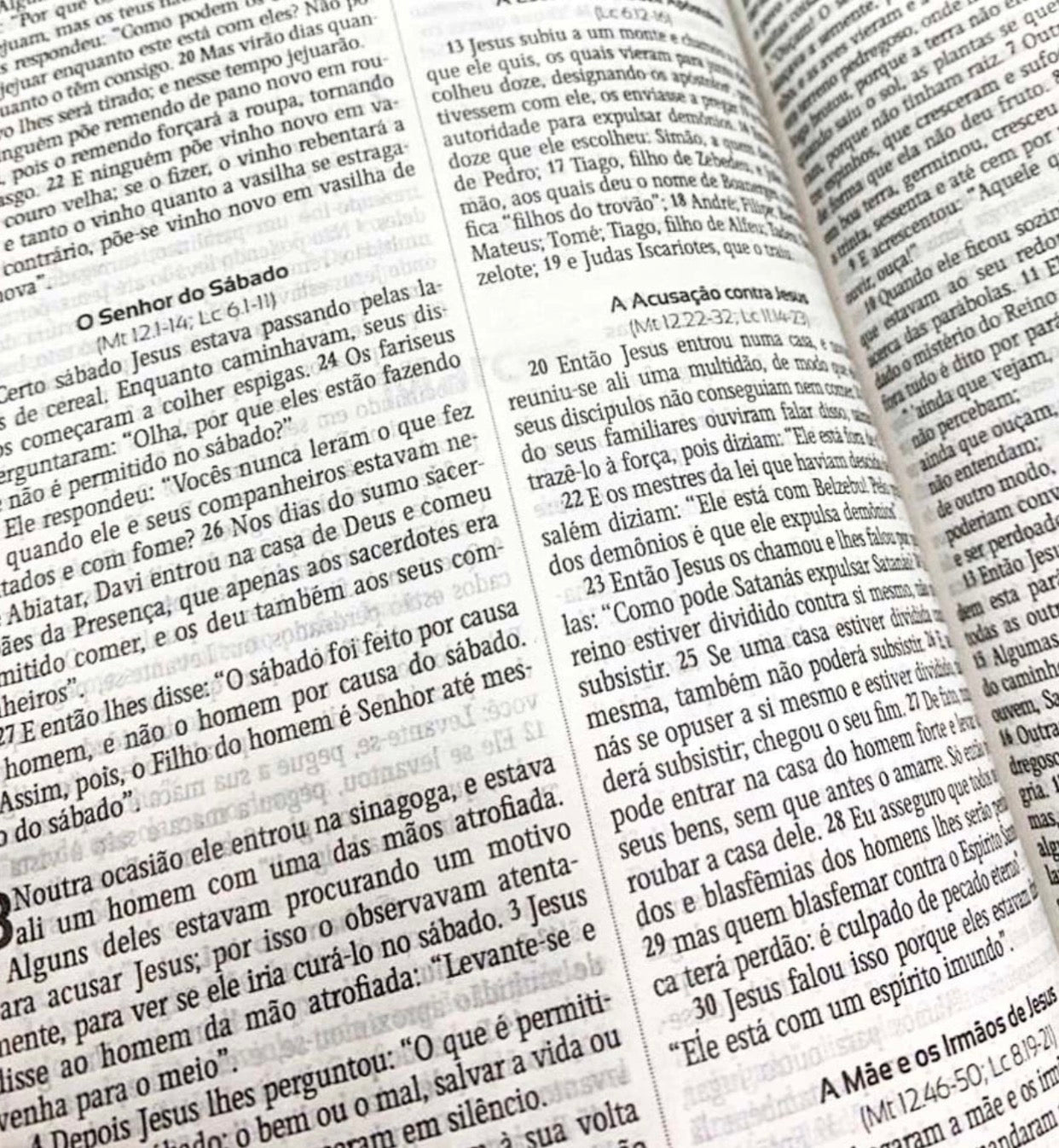 Bíblia Sagrada NVI leão Azul