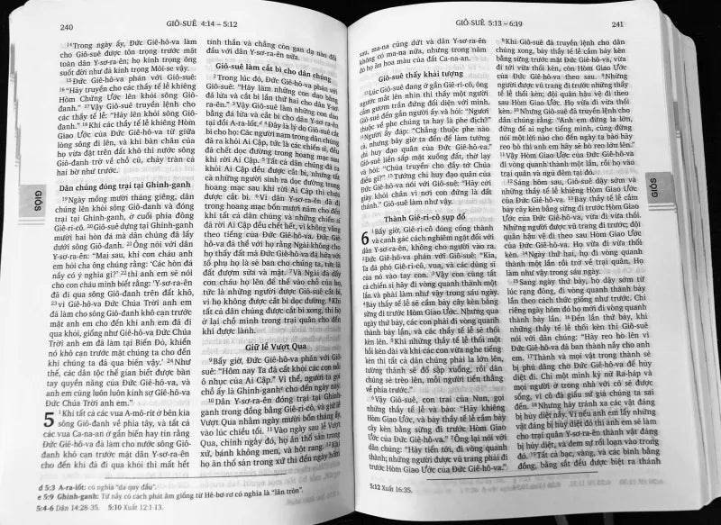 現代ベトナム語訳聖書
RVV 052