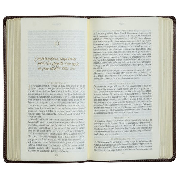 Bíblia The Purpose Book | A21 | Capa Couro Soft Marrom Cruz