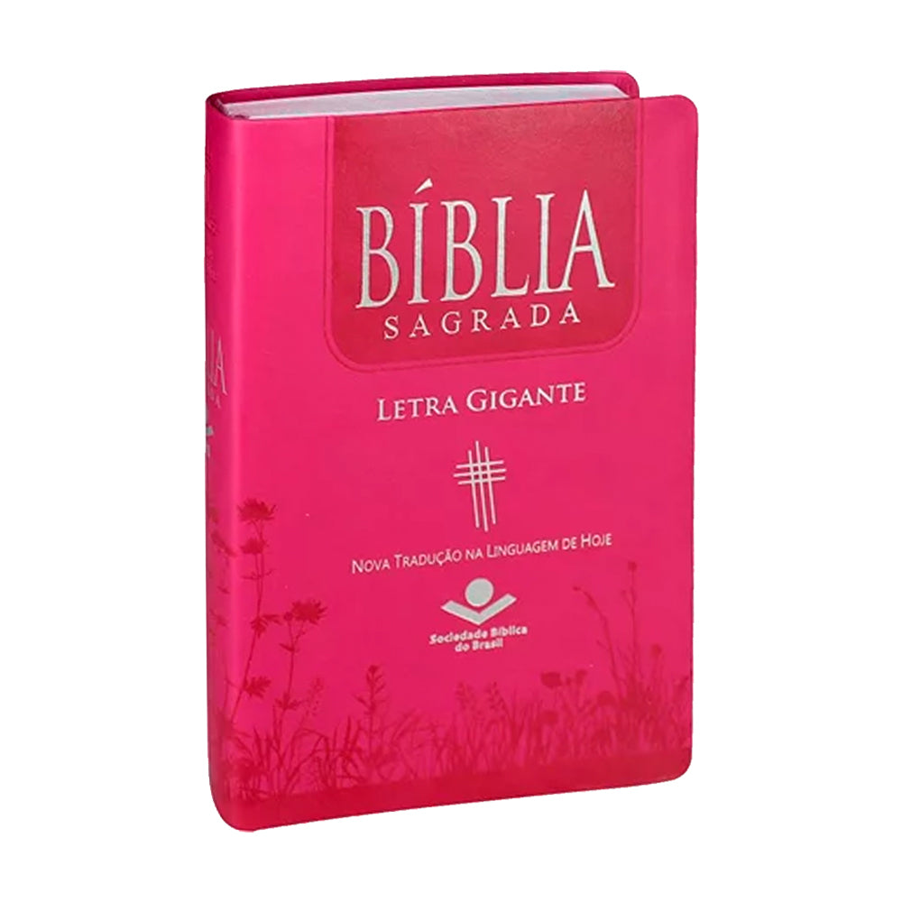 Holy Bible Giant Print | NTLH | With Pink Index