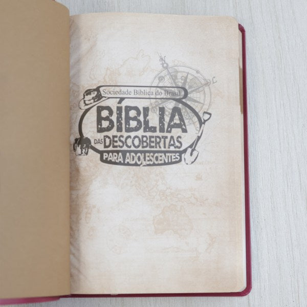 Bíblia das Descobertas para Adolescentes | Letra Normal | NTLH | Capa Luxo Rosa