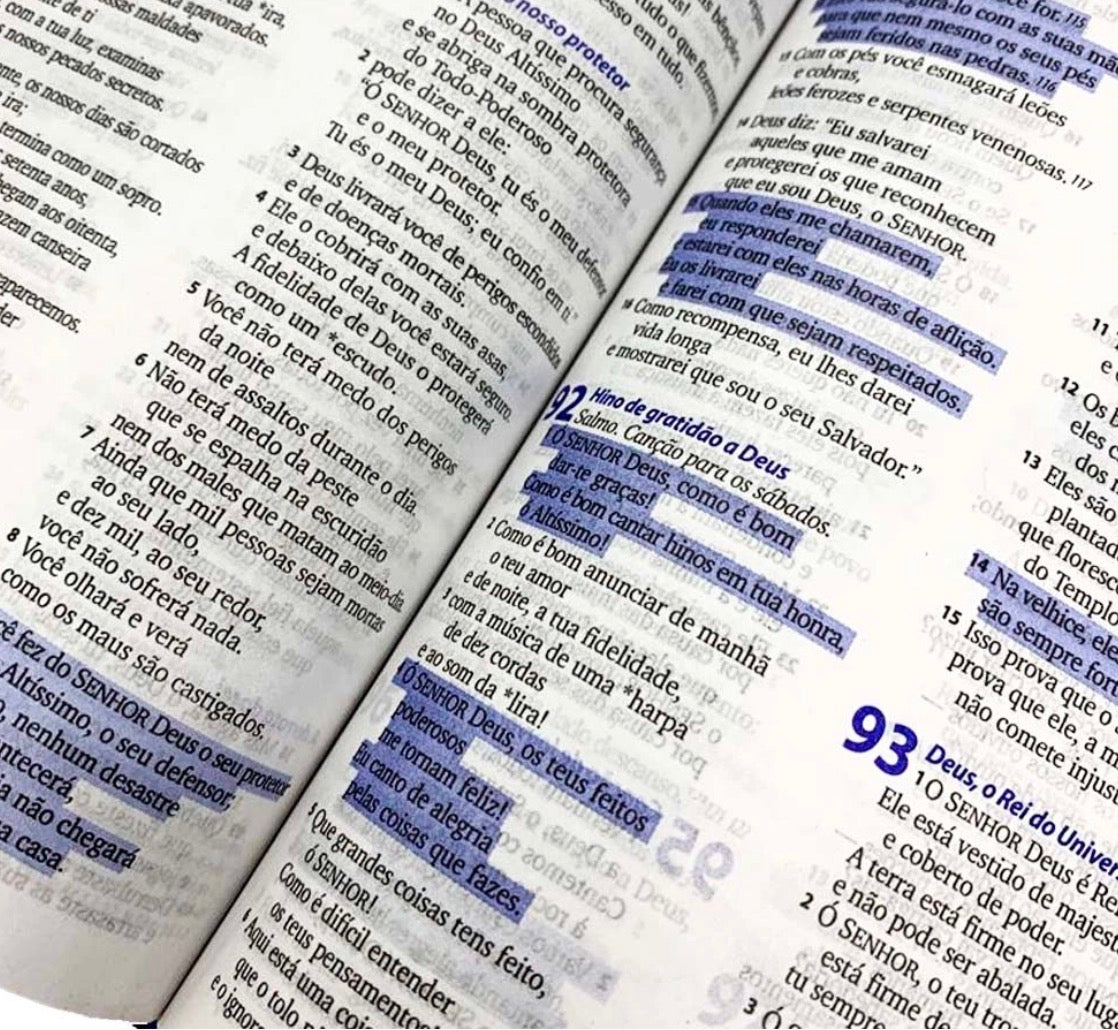 Biblia Sagrada 3 palavrinhas