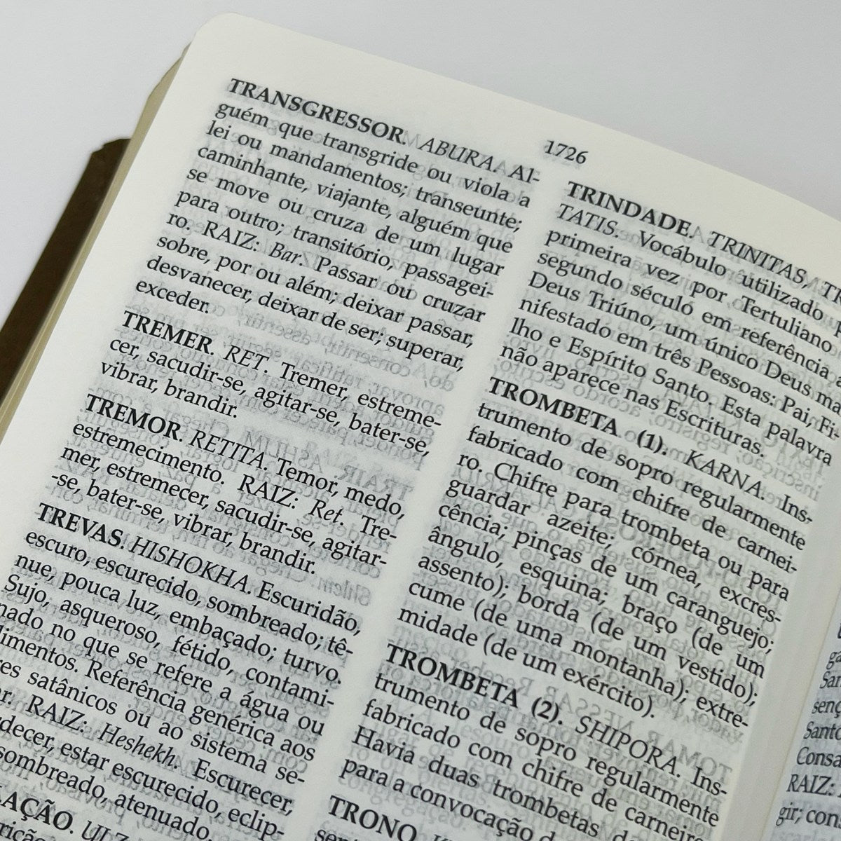 Bíblia Peshitta com Referências | Letra Grande | Capa Luxo Marrom