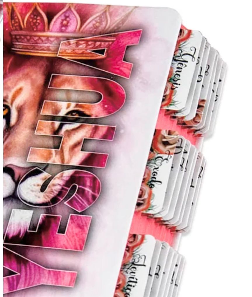 Bíblia Sagrada - Yeshua Rosa - Abas