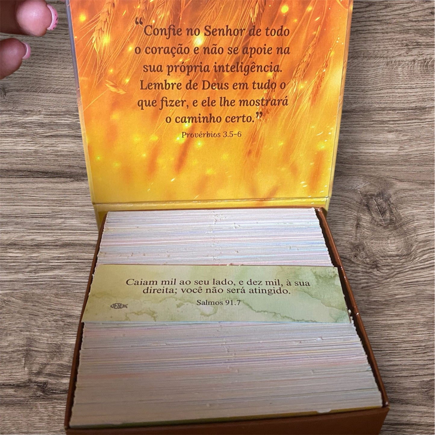 Preciosas Promessas de Deus | Caixinha de Promessas | Leão Dourado