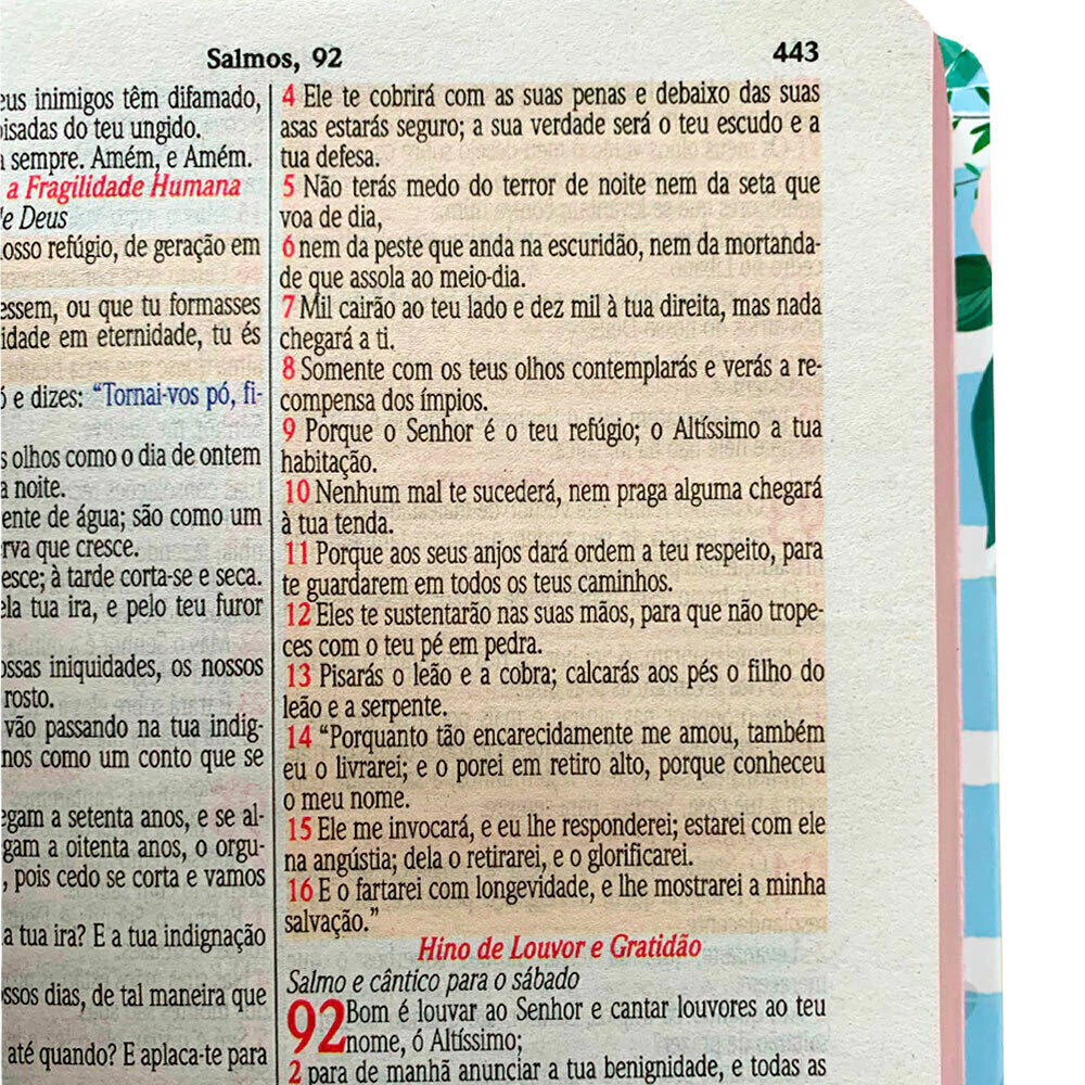 Bíblia Sagrada NVA - Letra Grande - Textos Coloridos - Capa Dura Menina Rosa