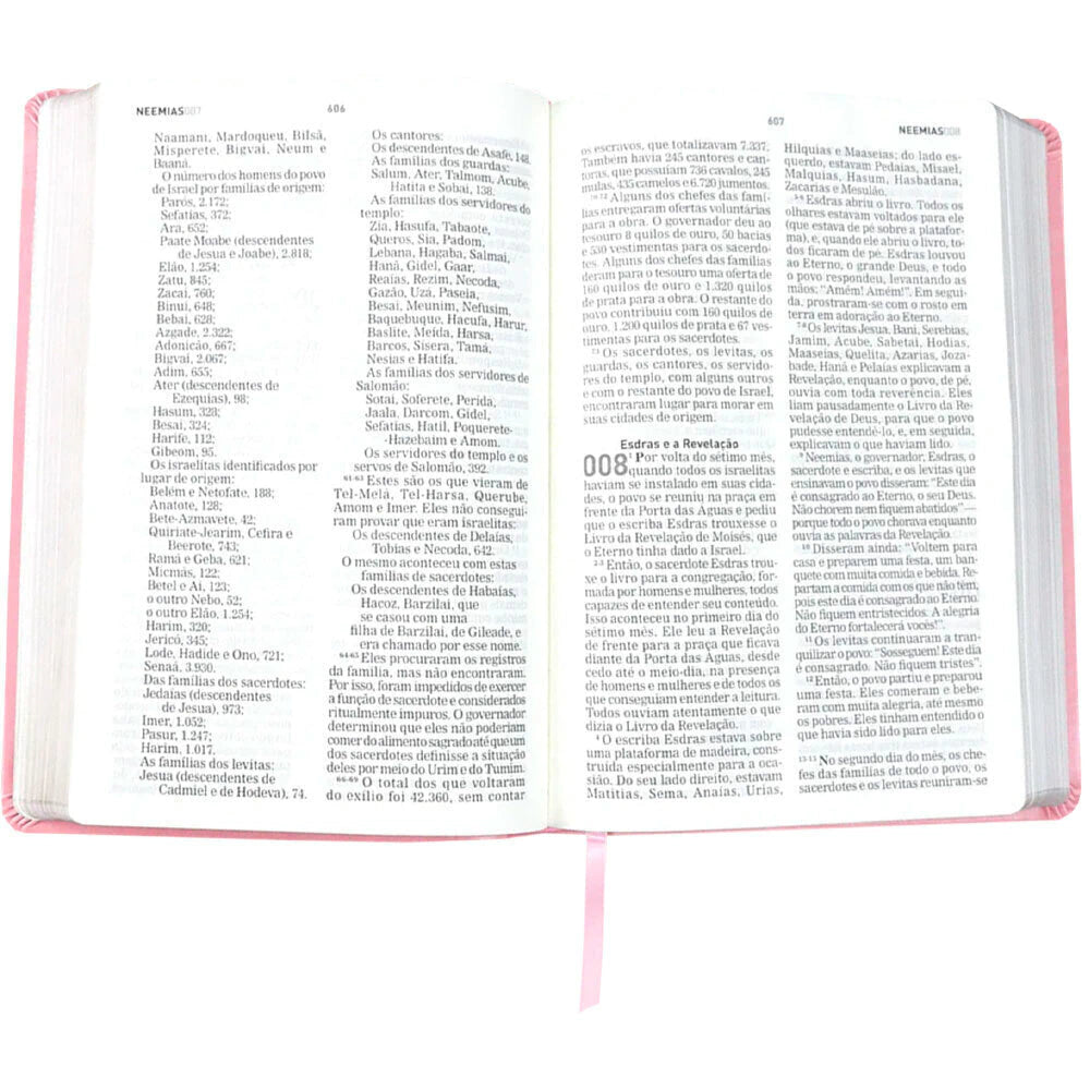 Bíblia Sagrada A Mensagem - Letra Gigante - Capa Luxo Rosa