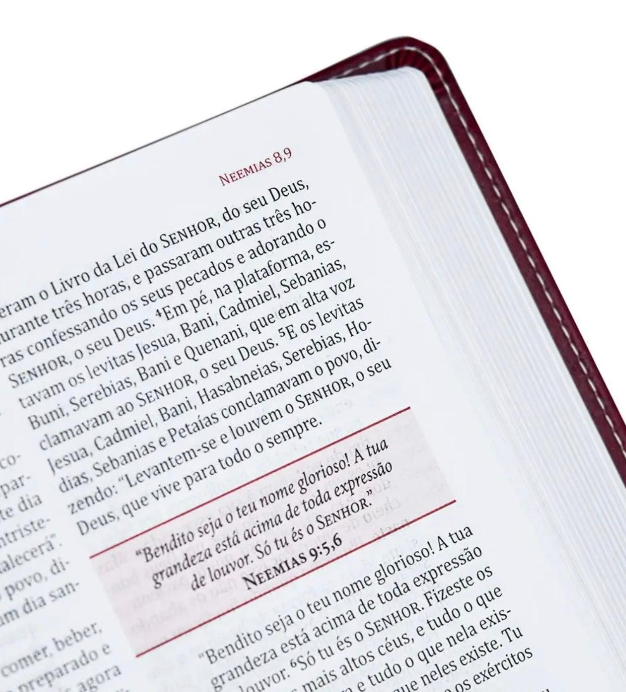 Bíblia da Mulher de Fé | Letra Normal | Capa Couro Vermelha