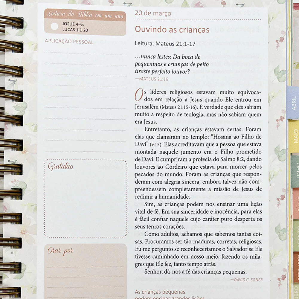 Planner Devocional Pão Diário Meu Plano Com Deus Permanente - Capa Intimidade