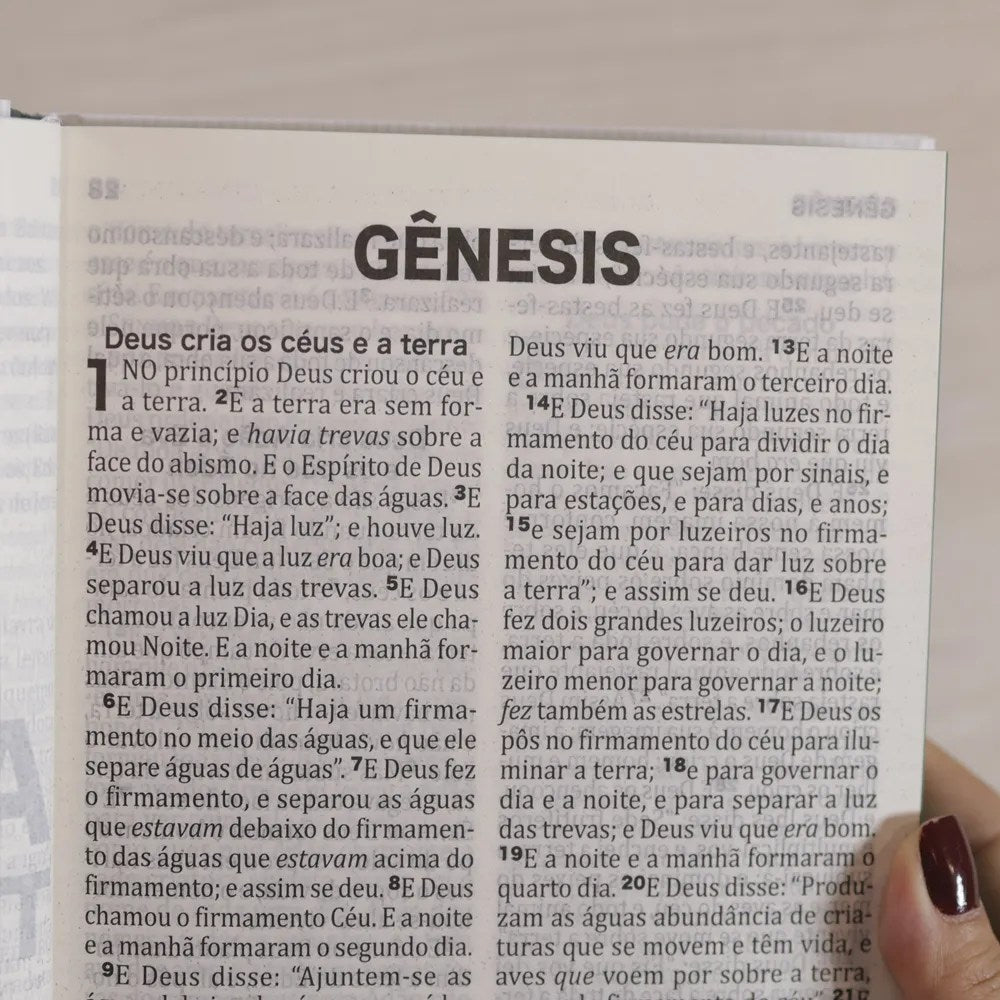 Bíblia Sagrada King James | Letra Extra Grande | Capa Dura Modelo Vida