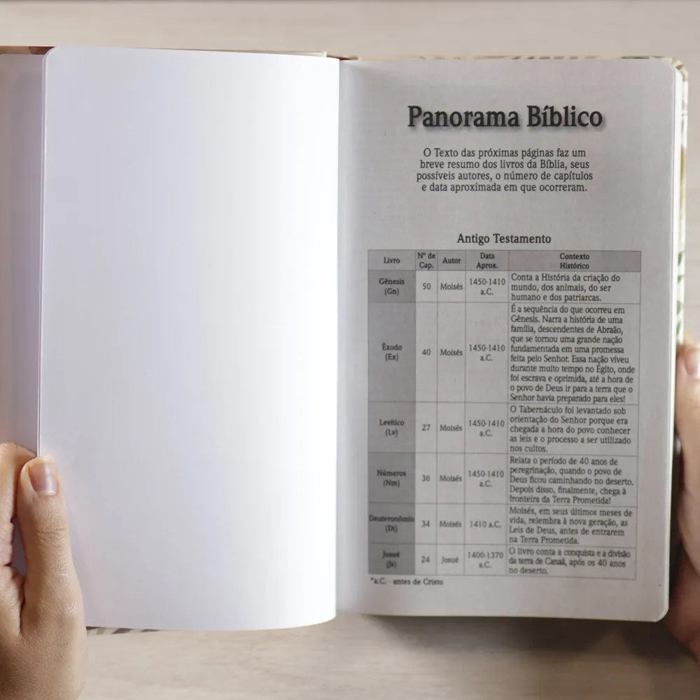 Bíblia Floral Rosê | NVI | Letra Grande | Capa Dura