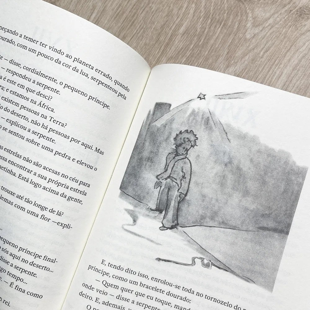 O Pequeno Príncipe | Antoine de Saint-Exupéry - ilustração originais