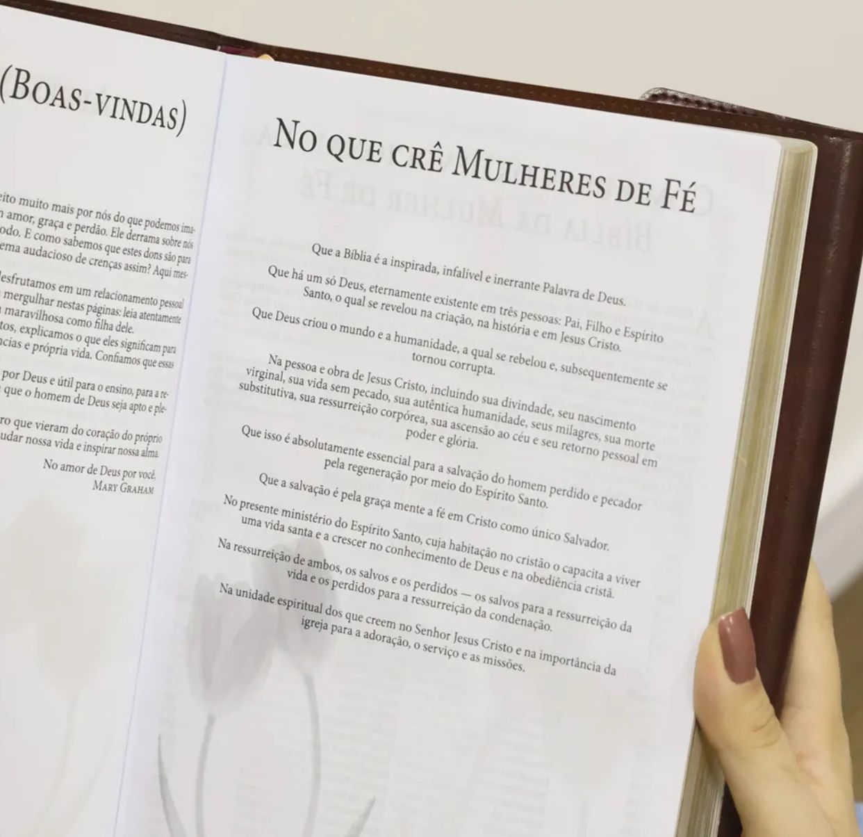 Bíblia da Mulher de Fé | NVI | Letra Grande | Courosoft Vinho Com Fechamento Carteira
