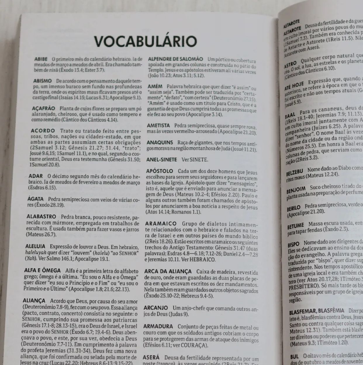 Bíblia Sagrada Flores | ACF | Letra Normal | Capa Brochura