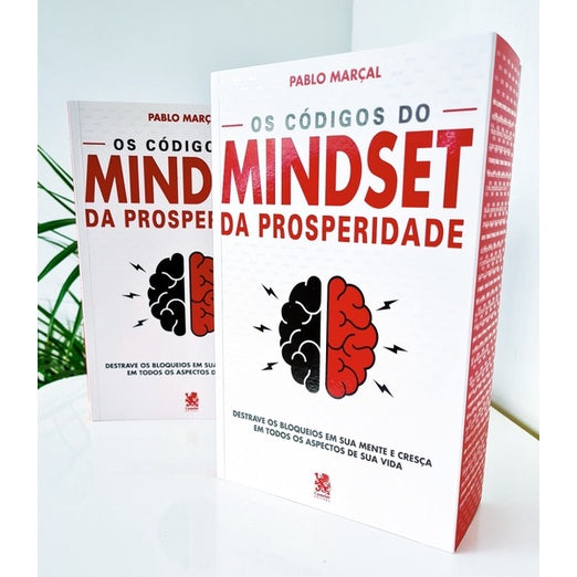The Prosperity Mindset Codes | Pablo Marcal