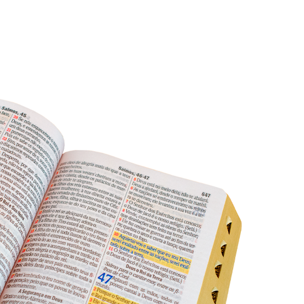 Bíblia Sagrada Letra Hiper Gigante - Gold Glitter Creme Estria - C/ Harpa
