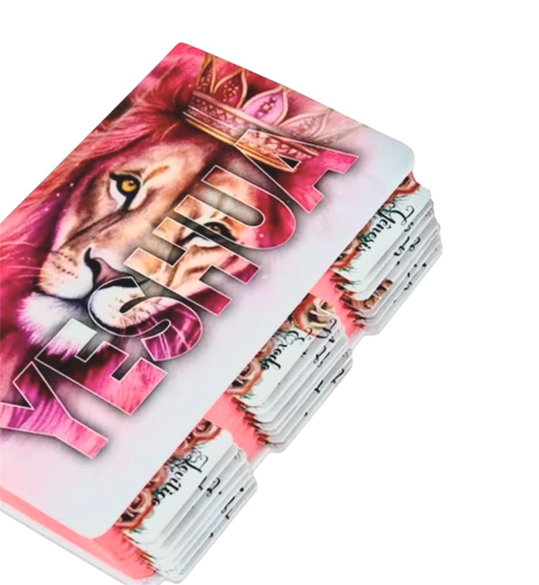 Bíblia Sagrada - Yeshua Rosa - Abas