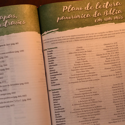 Bíblia Da Mulher De Deus | ARC | Harpa Pentecostal | Letra Grande | Capa Dura Leoa