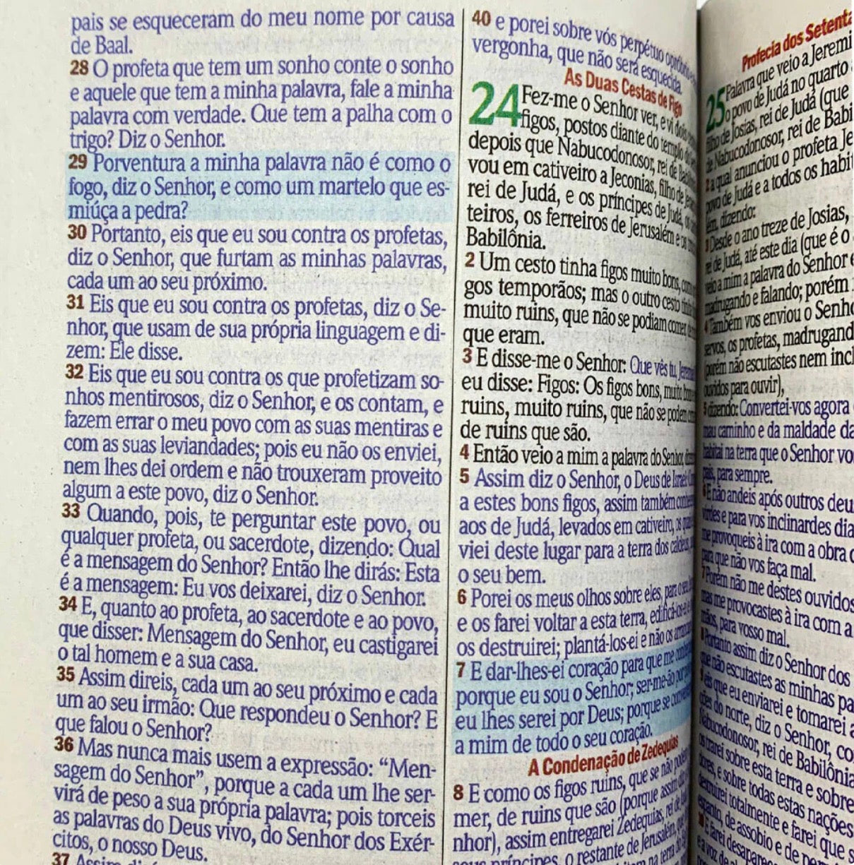 Bíblia Sagrada ARC — Capa Leão