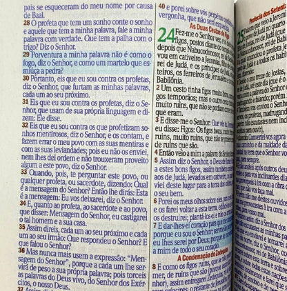 Bíblia Sagrada ARC — Capa Leão