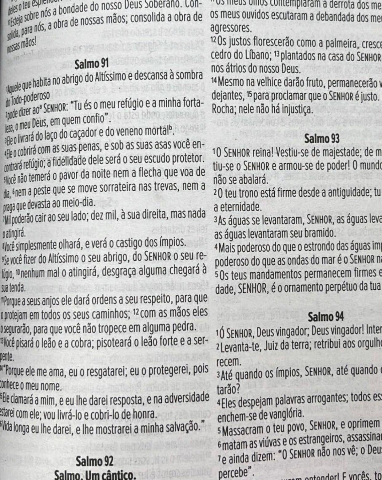 Bíblia Sagrada NVI Letra Média Brochura Leão Rei Dos Reis