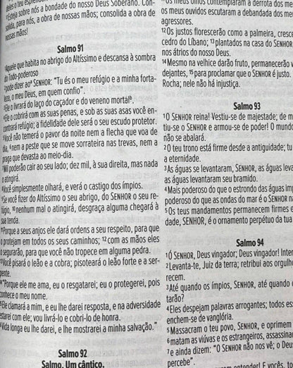 Bíblia Sagrada NVI Letra Média Brochura Leão Rei Dos Reis