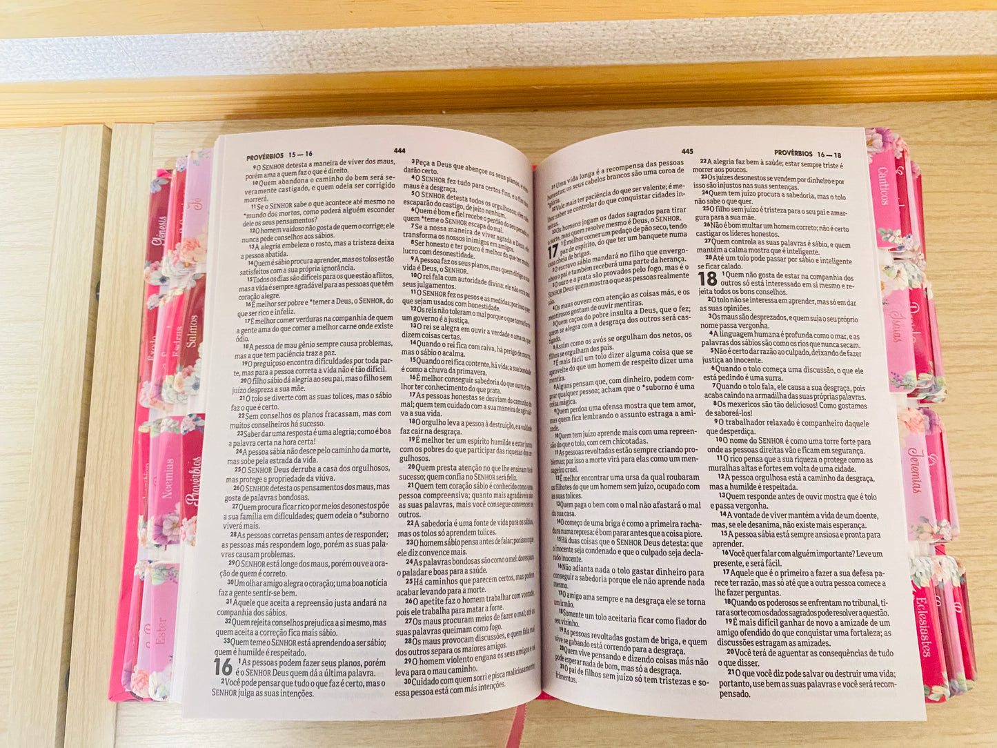 Bíblia NTLH com abas