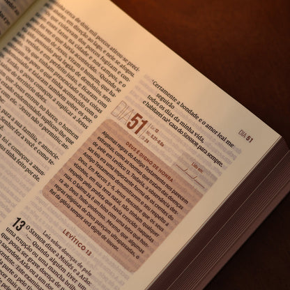 Bíblia Diária Marrom | NVI | Leitura Perfeita | Couro Soft