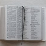 Bíblia Sagrada Floresça | NVI | Letra Maior | Capa Dura