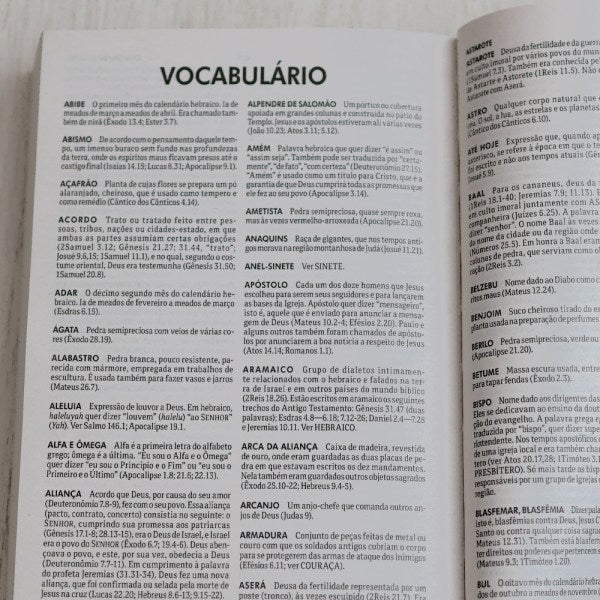 Bíblia Sagrada | NTLH | Confie no Senhor | Brochura