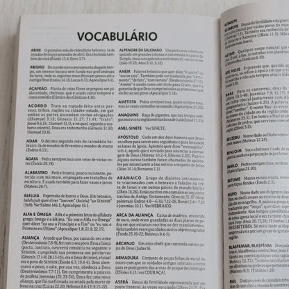 Bíblia Sagrada | NTLH | Confie no Senhor | Brochura