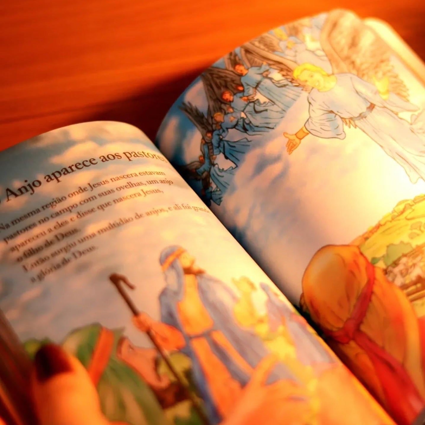 Biblia Infantil e Seus Herois