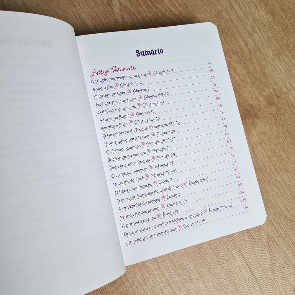 Bíblia Sonho de Princesa | Capa Ilustrada