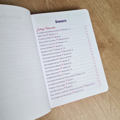 Bíblia Sonho de Princesa | Capa Ilustrada