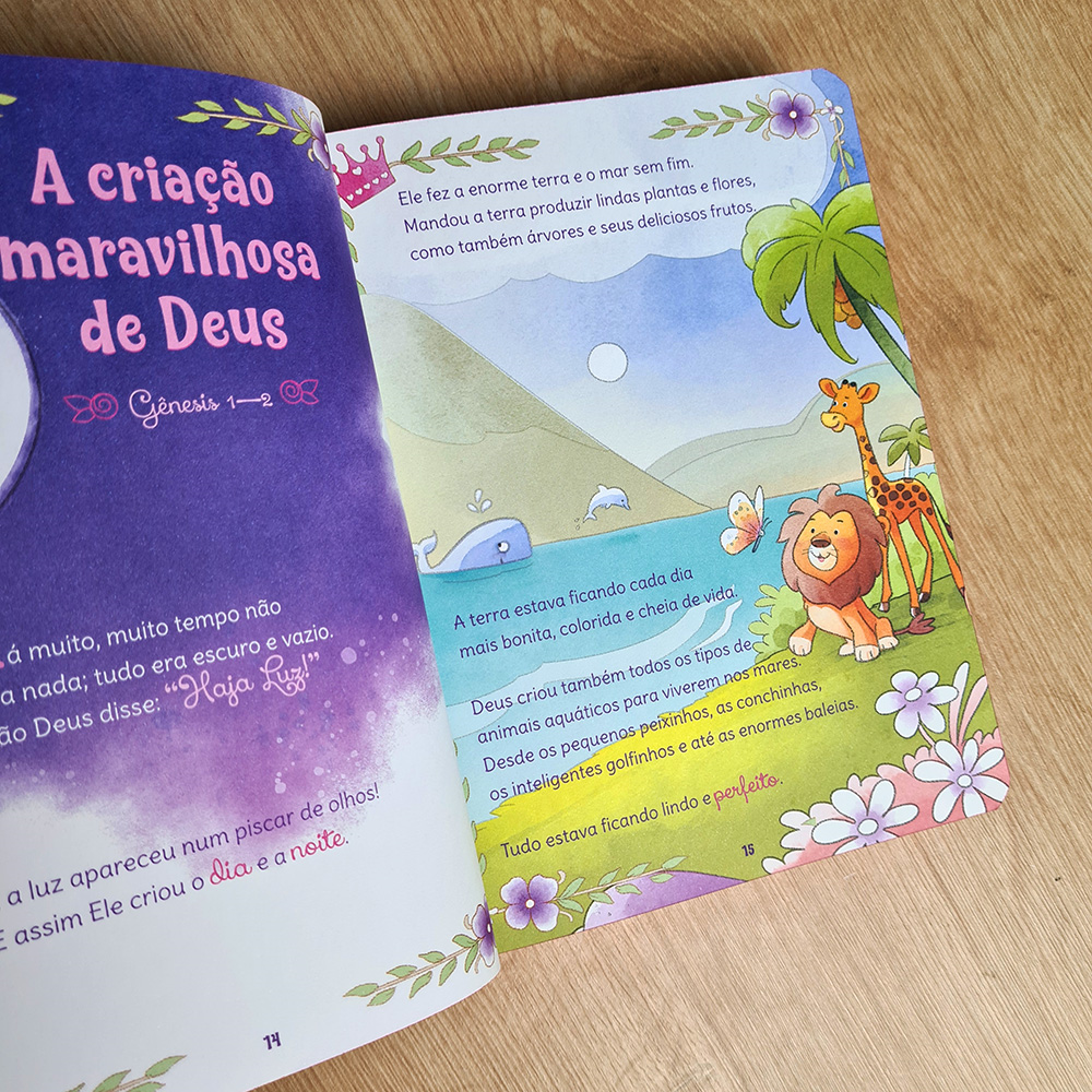 Bíblia Sonho de Princesa | Capa Ilustrada