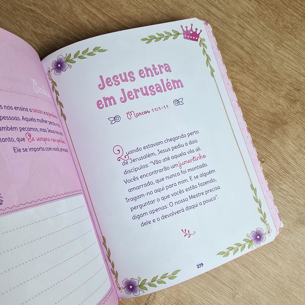 Bíblia Sonho de Princesa | Capa Ilustrada