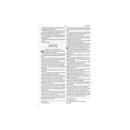 Bíblia De Estudo Nova Bíblia Viva | NBV | Capa Moderna