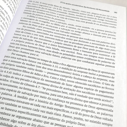 Teologia Sistemática | Completa e Atual | Wayne Grudem