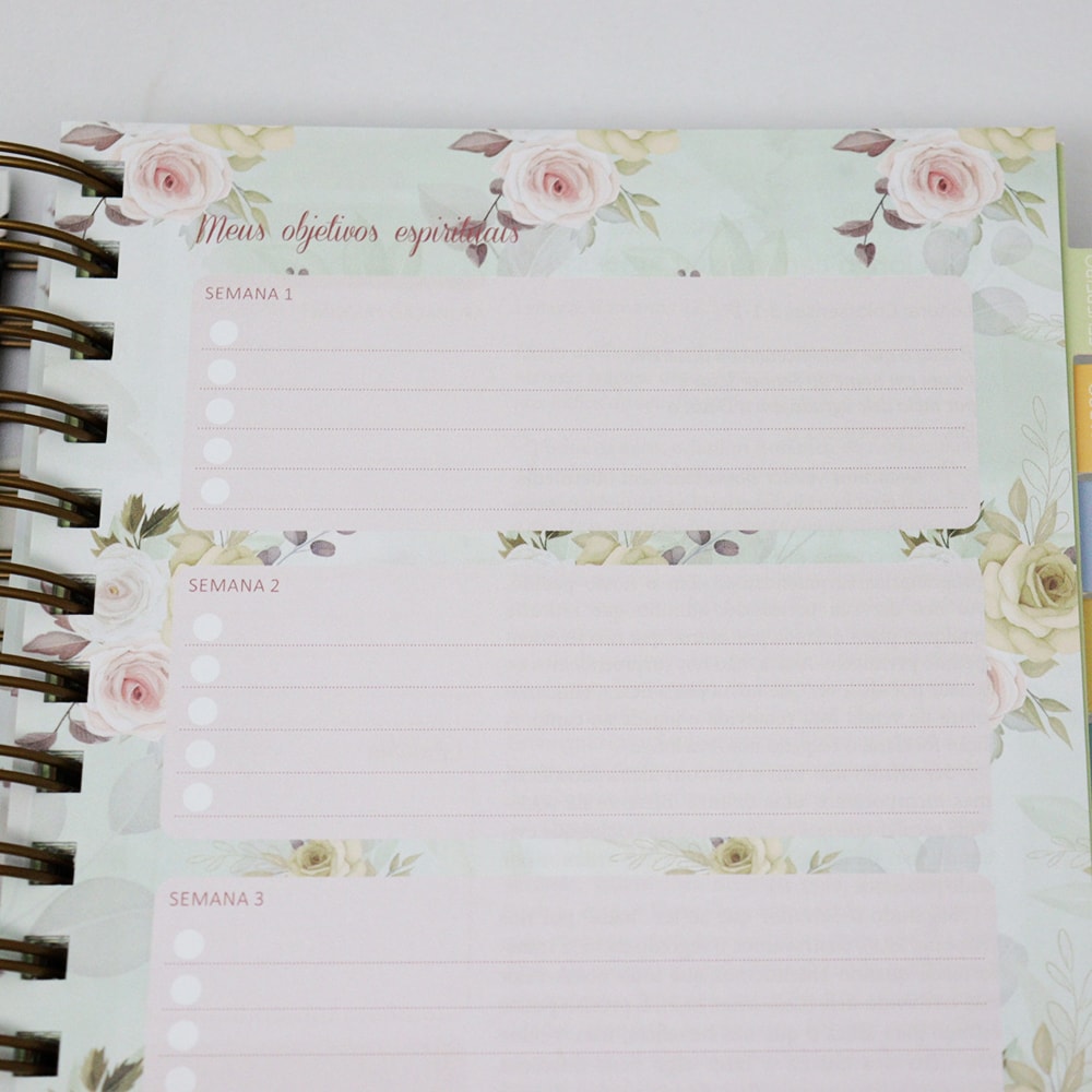 Planner Meu Plano com Deus | Amor | Capa Dura Espiral