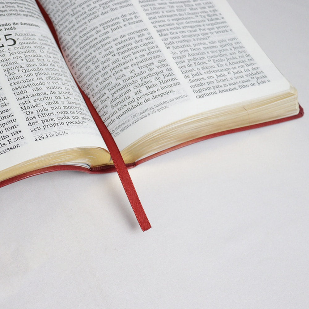 Joyce Meyer Study Bible | NIV | Large Print | Luxury Gold Cover