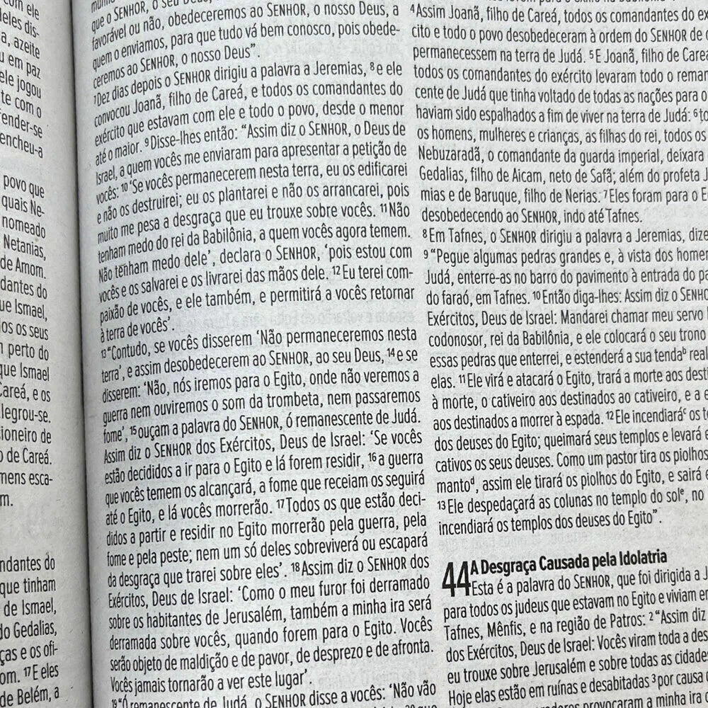 Bíblia Sagrada NVI Letra Média Brochura Rosas