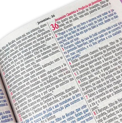 Bíblia Sagrada - Florença NAA