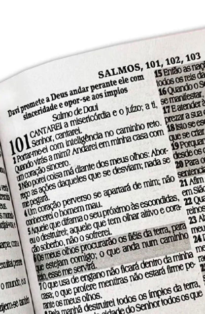 Bíblia Sagrada - Yeshua